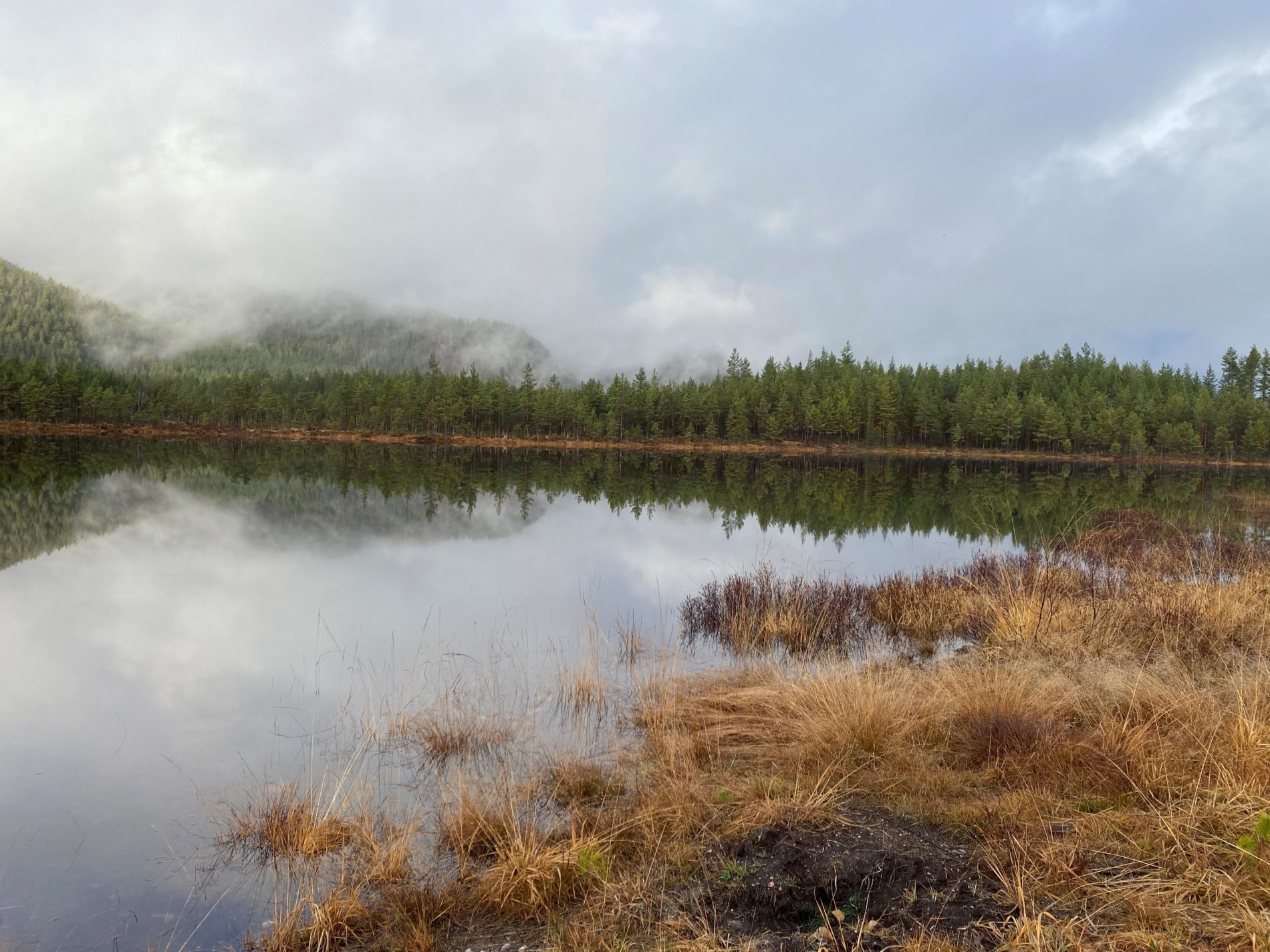 Natur med vann og skog fra Villmarkseventyrets Kulturrunde