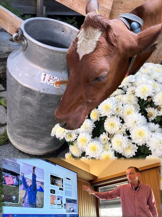 bildemontasje av melkspann, ku, sommerblomster og mann som peker på et en powerpointpresentasjon